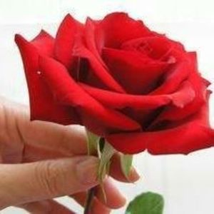 Meet your Posher, Patricia